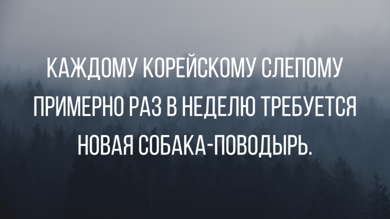 анекдоты в воскресение