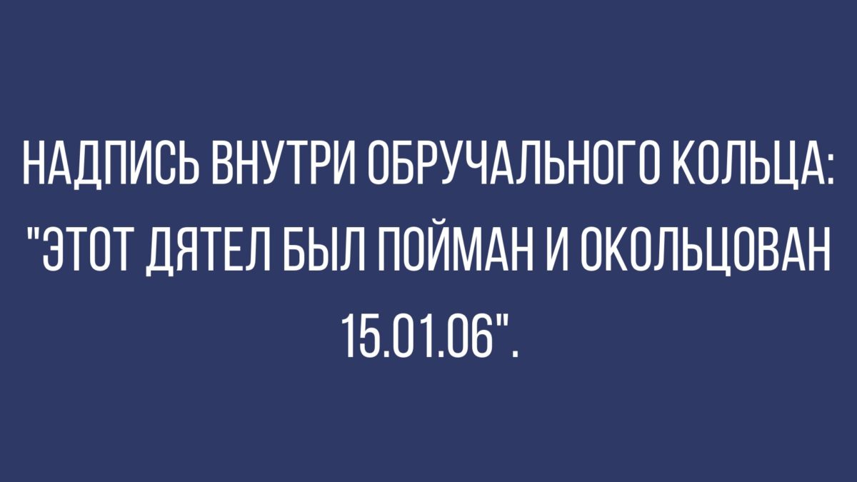 приколы про отношения