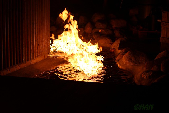 Под Елгавой почти сутки горит мусорный полигон 