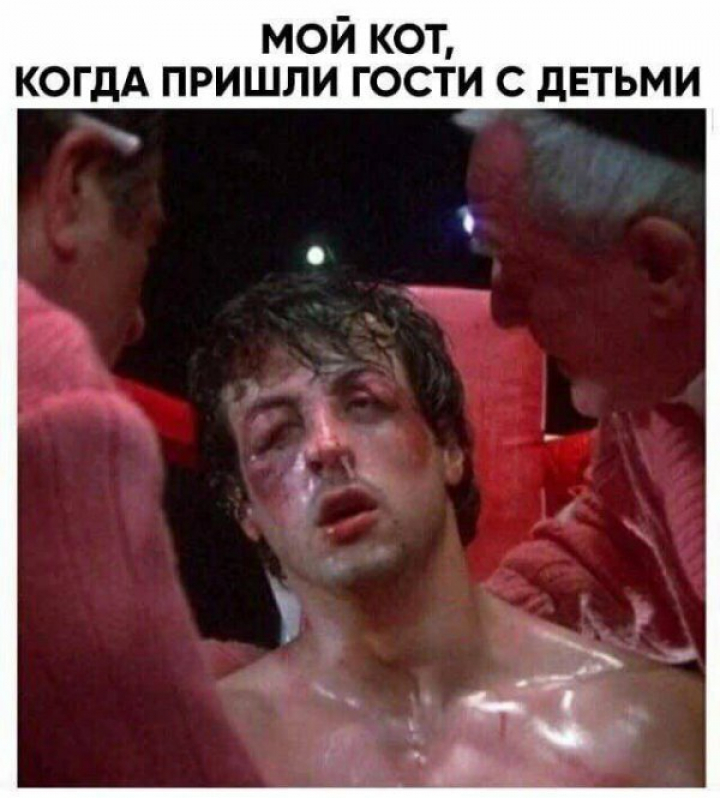Картинки с прикольными надписями