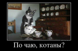 Демотиваторы с китиками