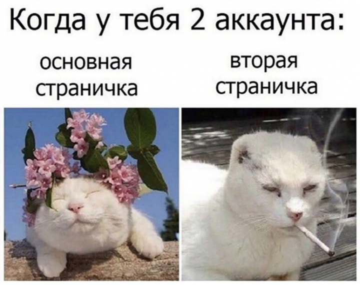 Подборка юмора из социальных сетей