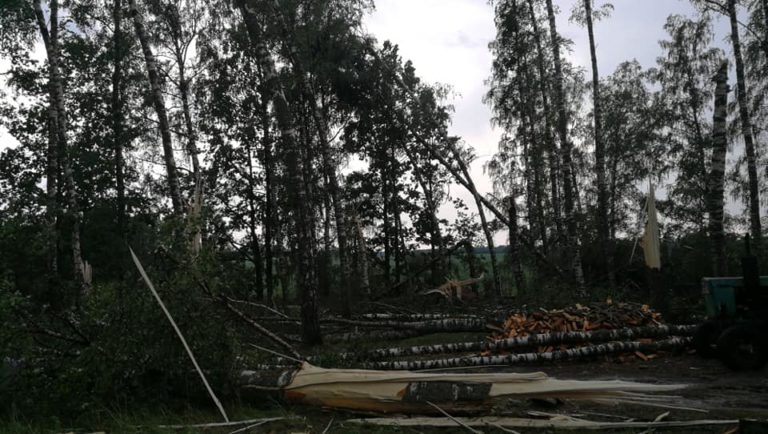Погода в пятницу: град, гром, сломанные деревья