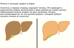 Что будет с организмом, если перестать принимать алкоголь (6 фото)