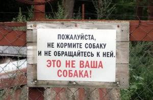 Фотоприколы
