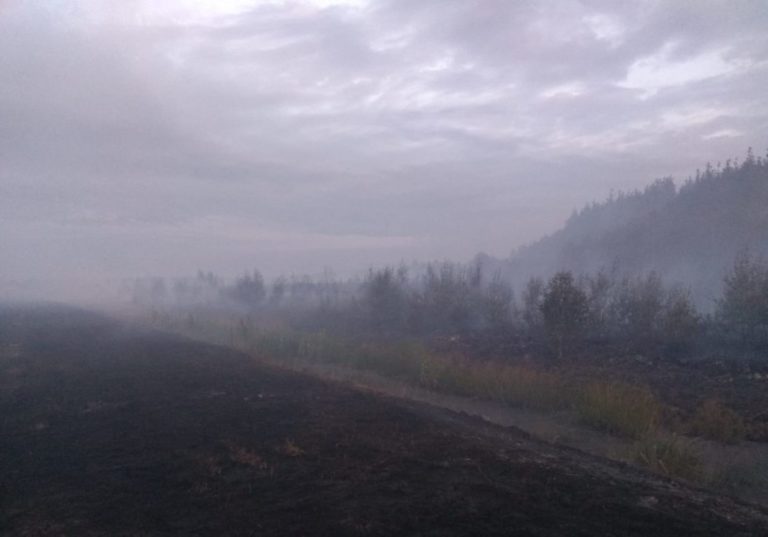 Пожар в Карсавском крае продолжается: пламя идет глубже в лес