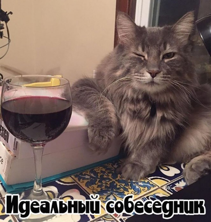Алкогольный юмор на выходные