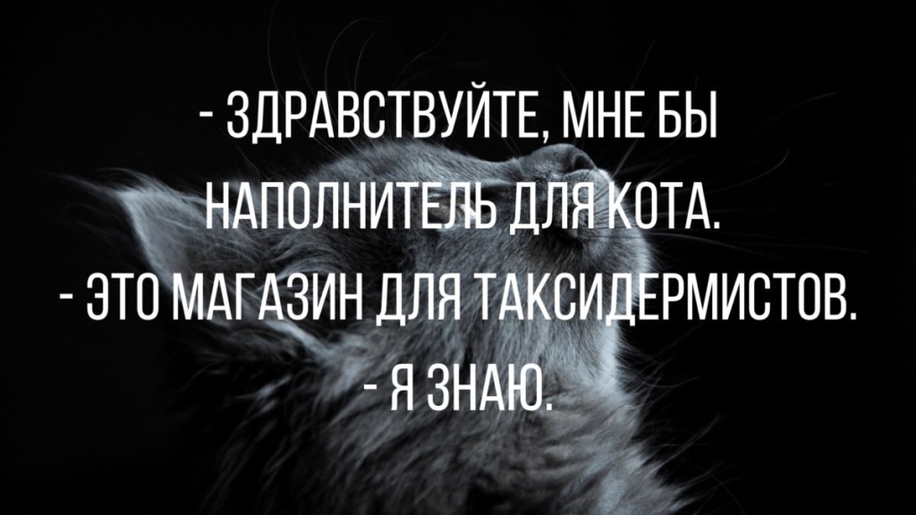 Новые анекдоты смешные до слез | Mixnews