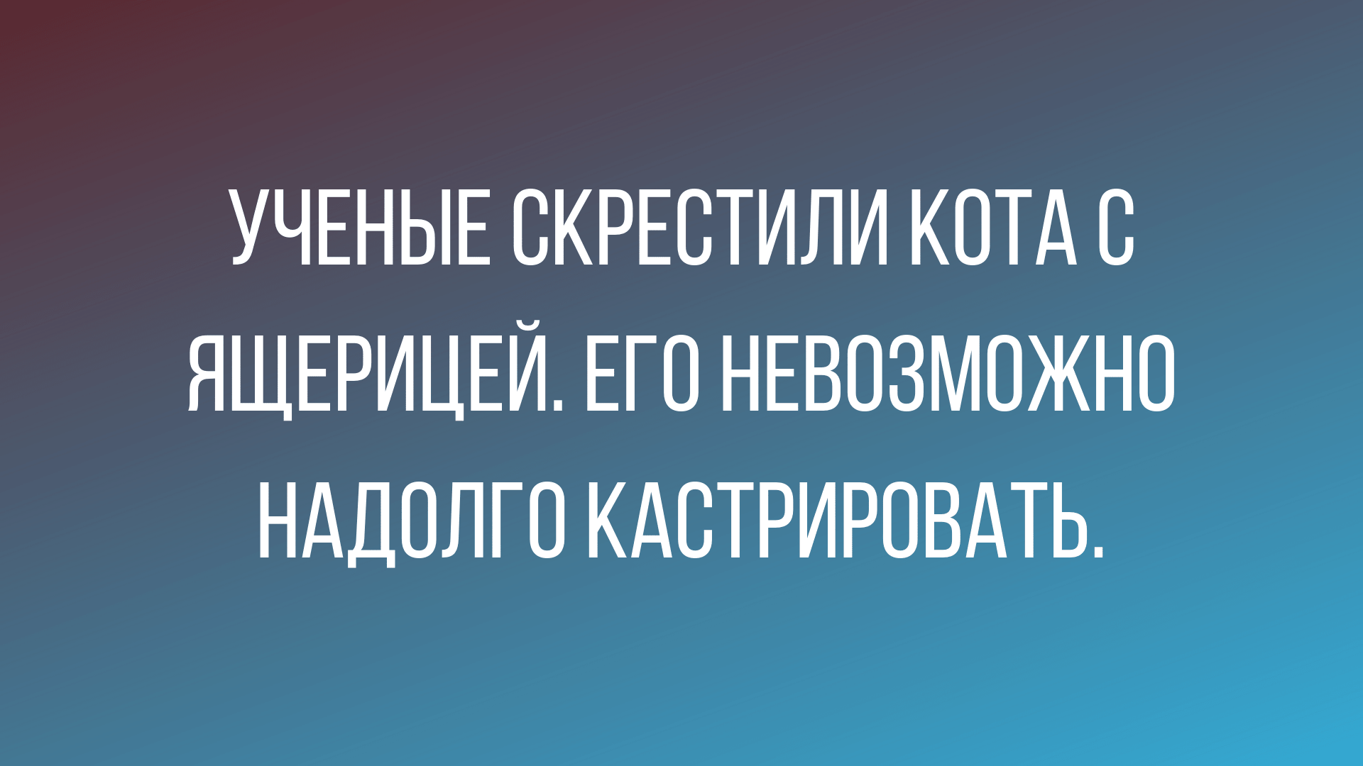 смешные анекдоты