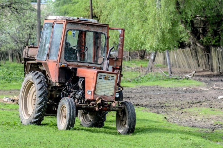 Из-за собаки в аварию попали машина, велосипед и трактор