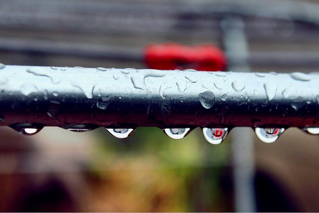 Вода, вода, кругом вода: прогноз синоптиков на следующую неделю