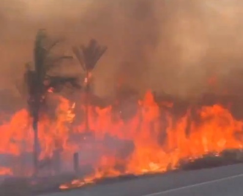 Леса Амазонки горят больше трех недель: соцсети в панике
