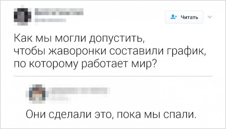 18 комментариев из Twitter от тех, кто понял в жизни все