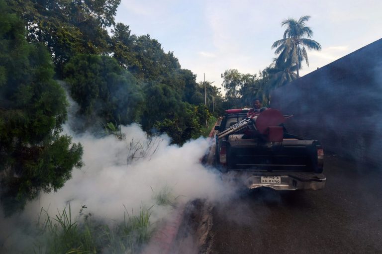 На Филиппинах эпидемия лихорадки денге: уже сотни жертв