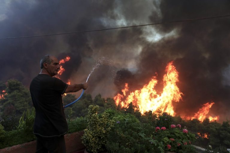В лесных пожарах Греции уже погибло 95 человек