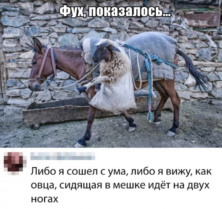 Смешыне картинки на Mixer