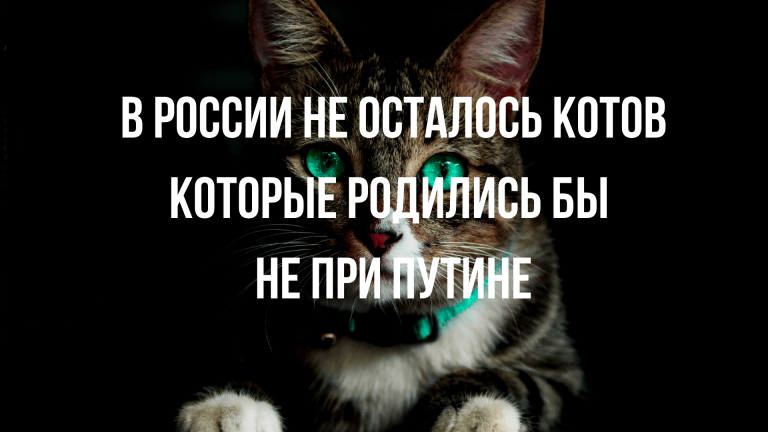 лучшие анекдоты за сегодня