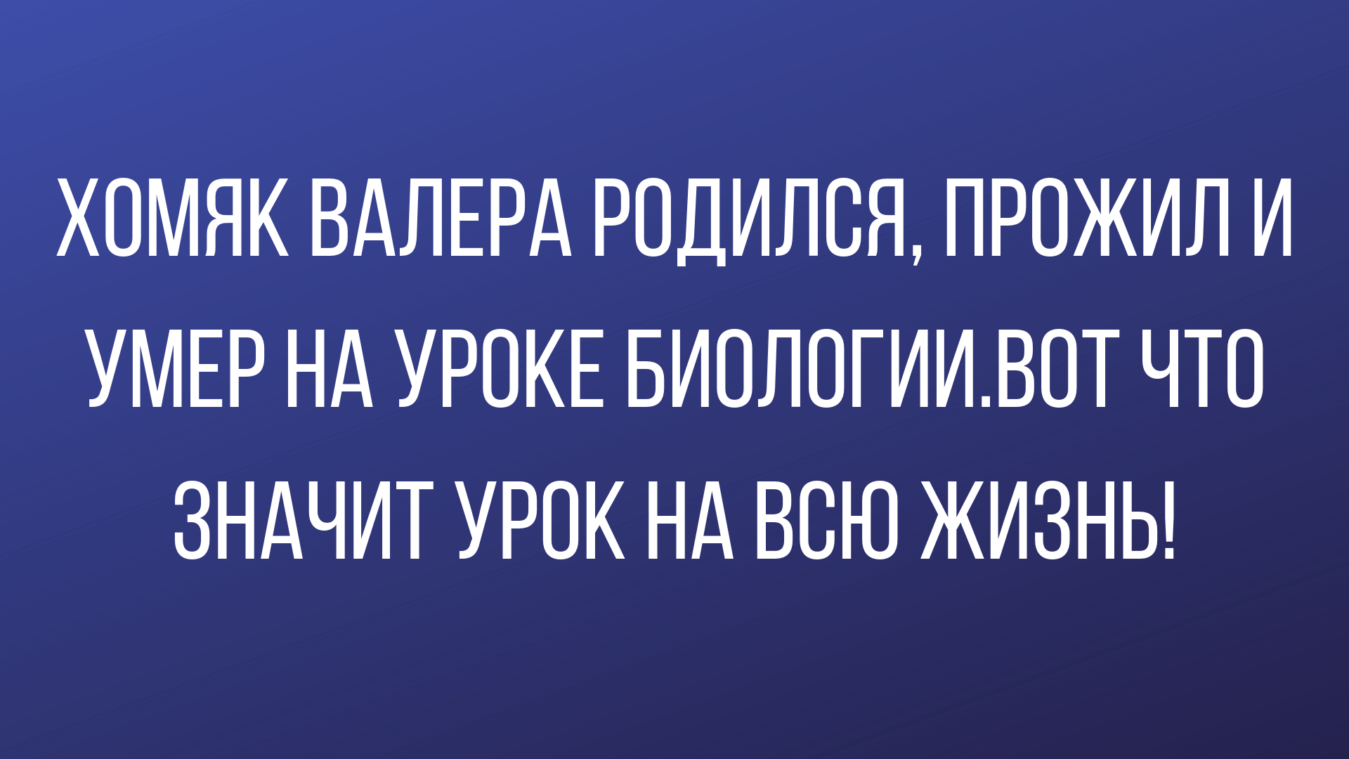 лучшие анекдоты за сегодня