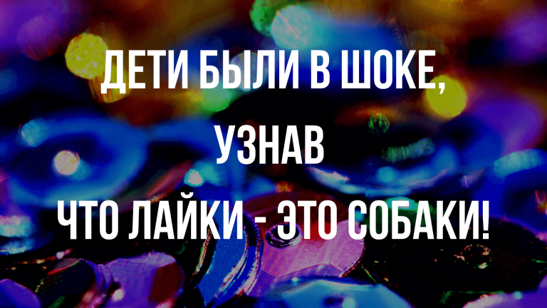 цитаты из интернета