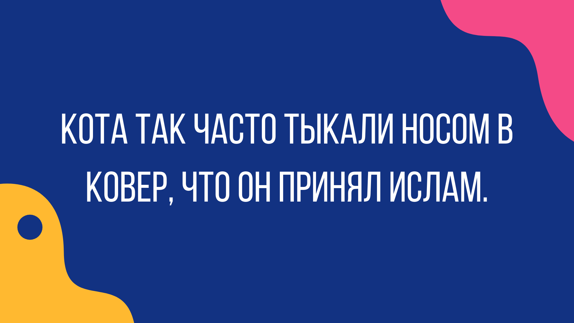 лучшие шутки и юмор про котов