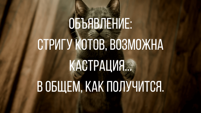 шутки с черным юмором