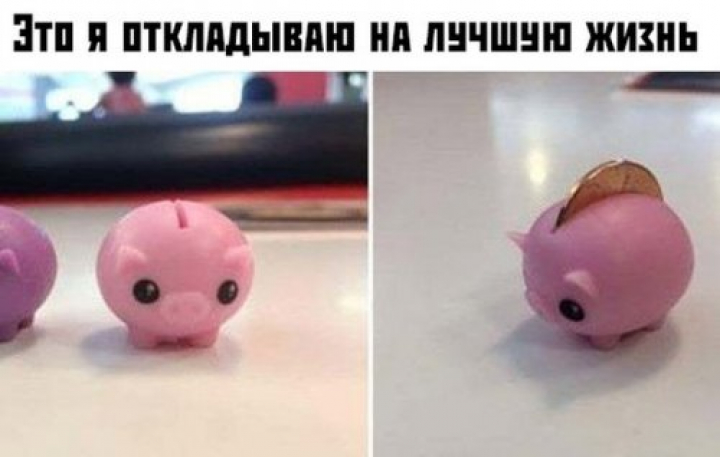 Свежий пост прикольных картинок