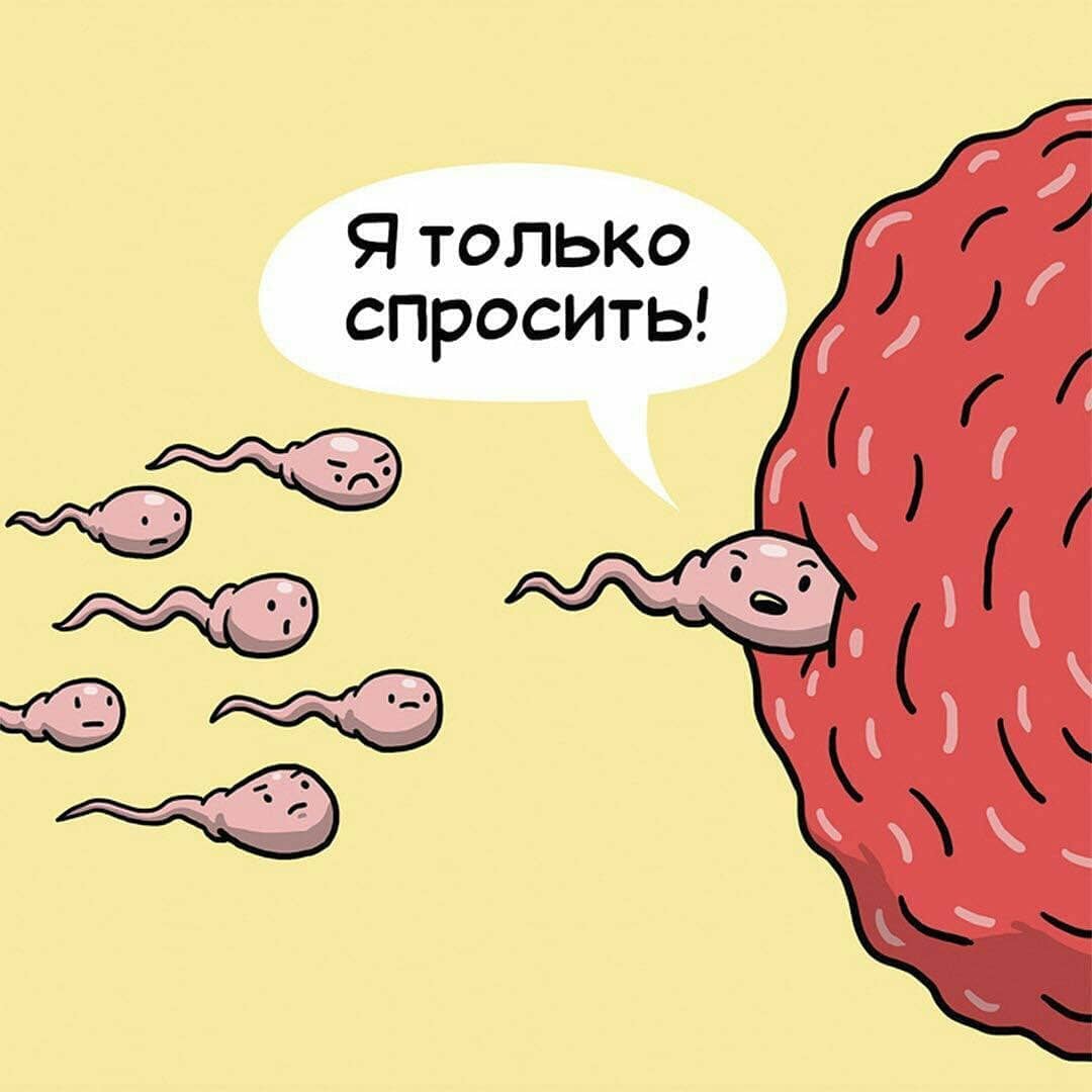 Прикольные картинки с сперматозоидом, для мамы