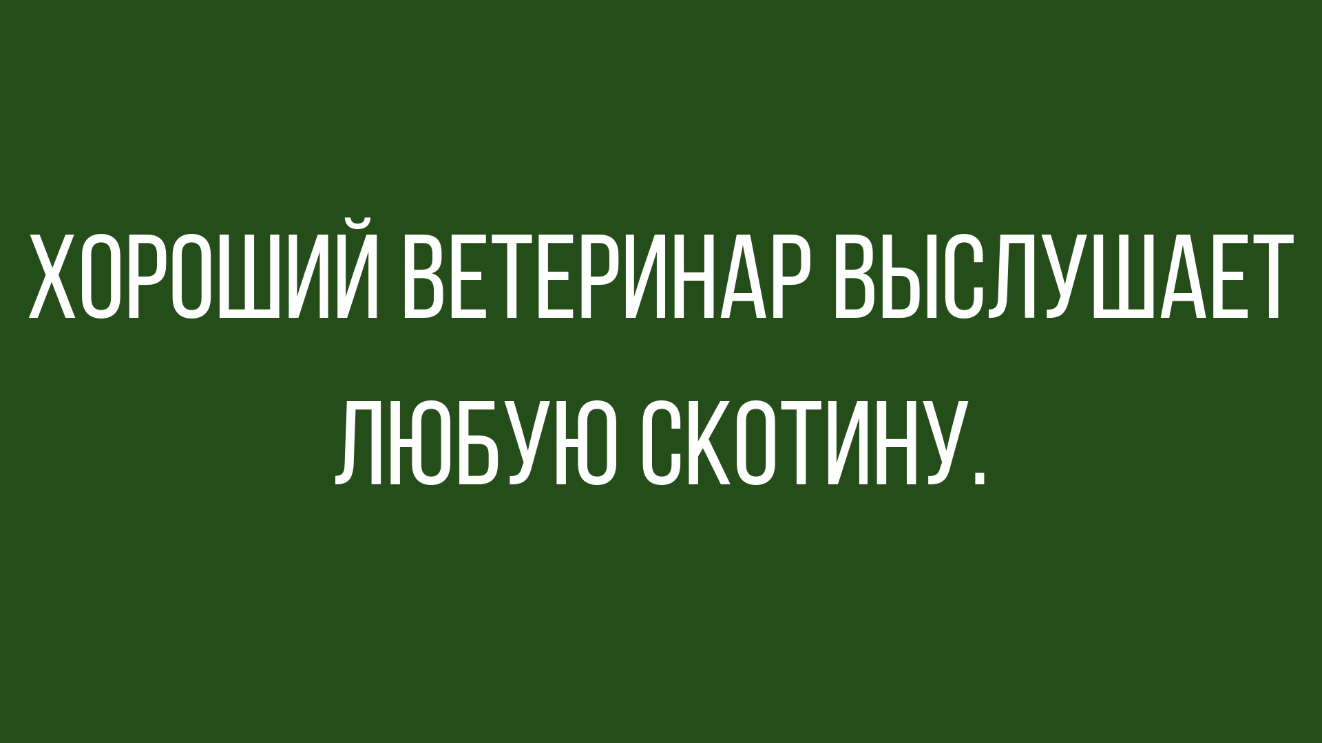 лучшие анекдоты