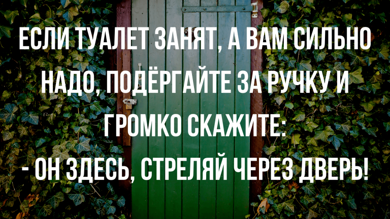 шутки для настроения