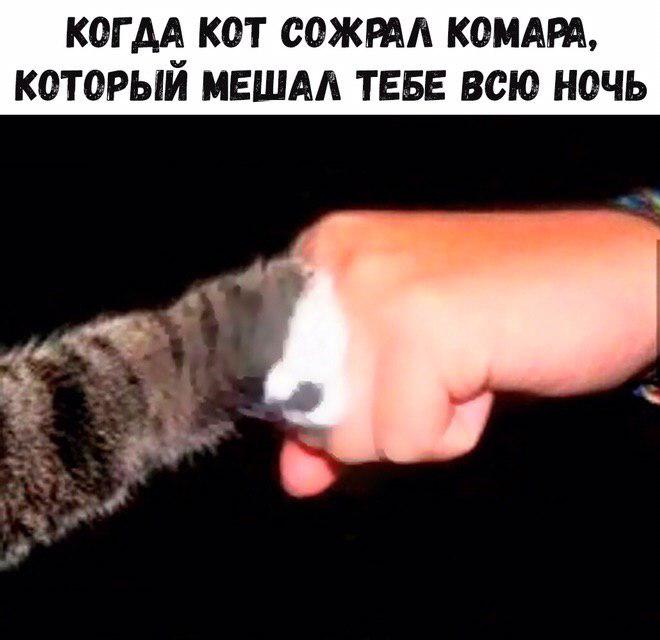 Пятничная подборка прикольных картинок
