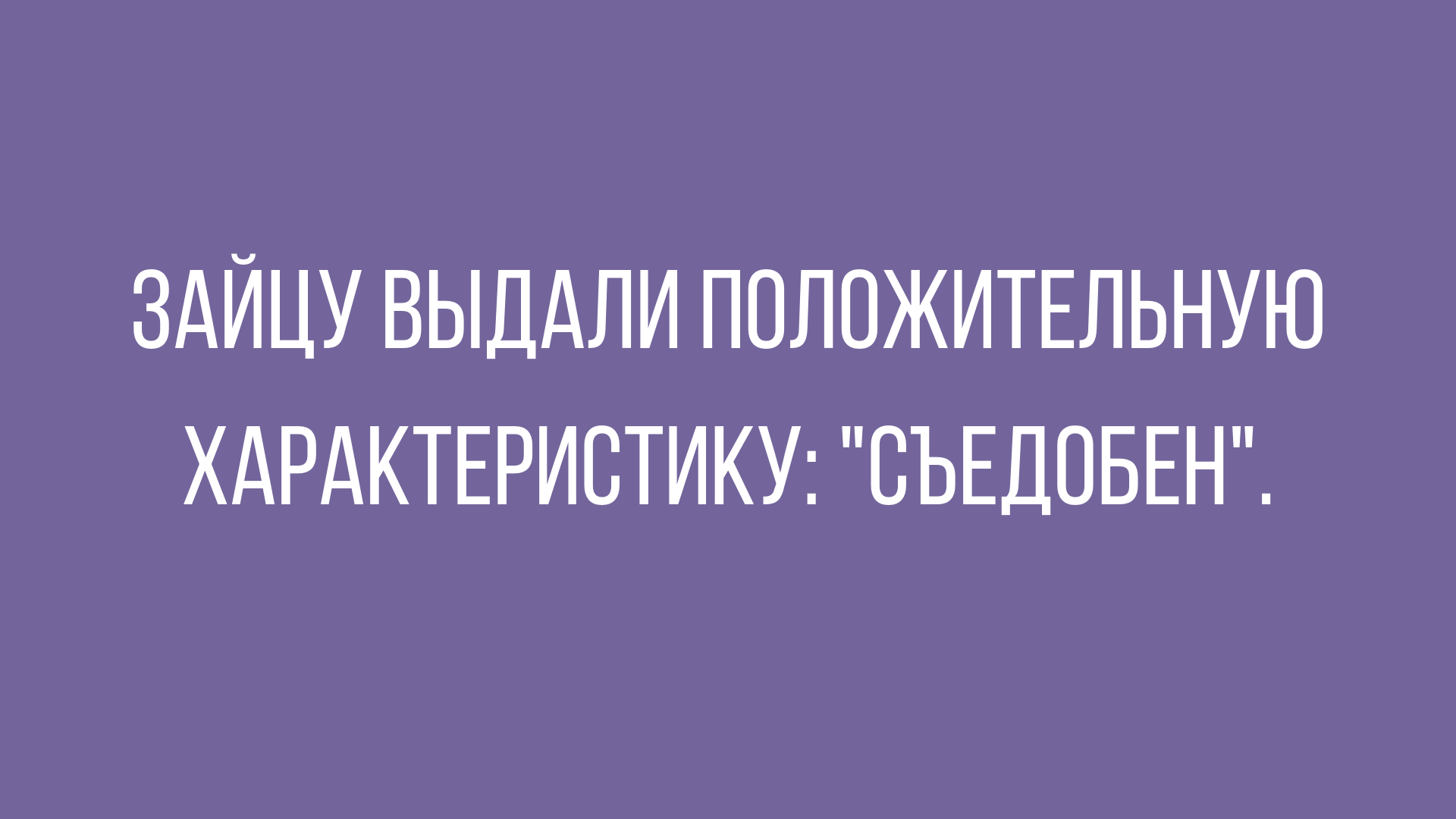 юмор в коне недели