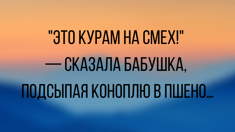 анекдоты