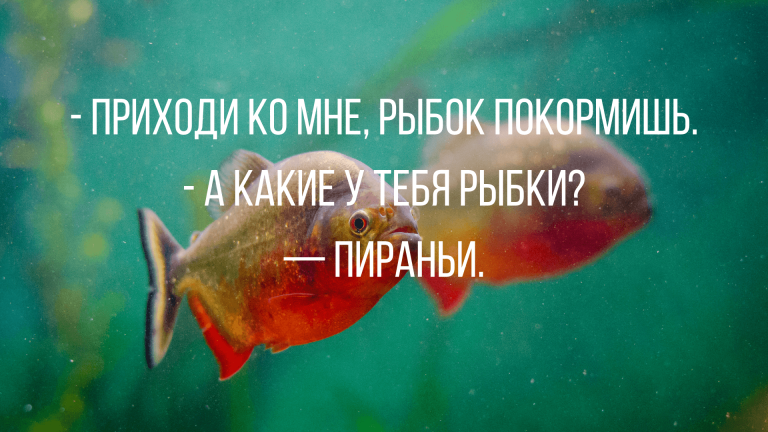 анекдоты с черным юмором