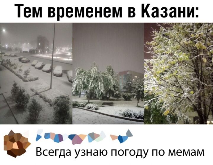 Подборка прикольных картинок от 26 сентября