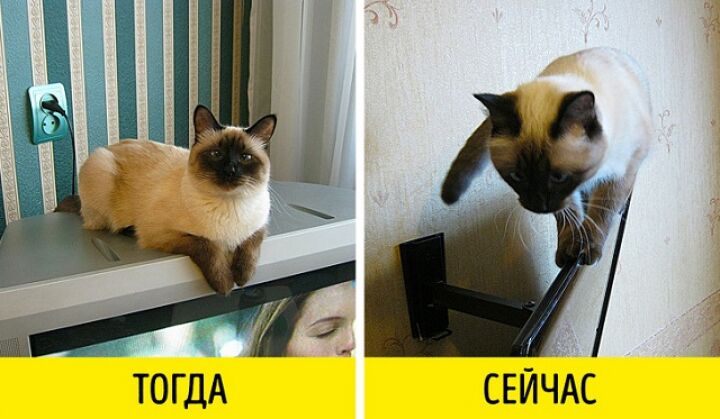 Как изменился мир за 20 лет (14 фото)