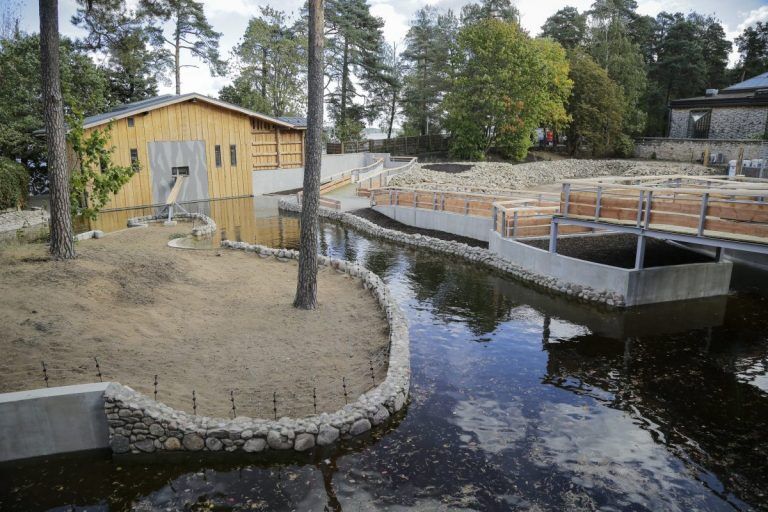 В Рижском зоопарке сегодня откроют комплекс «Африканская саванна»
