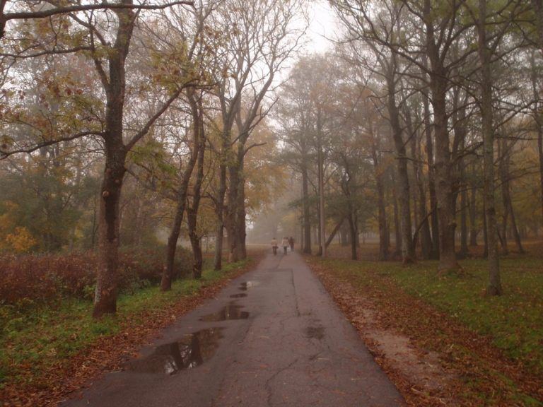 Сегодня в Латвии будет холоднее, чем было ночью