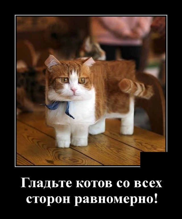 Новые демотиваторы за неделю