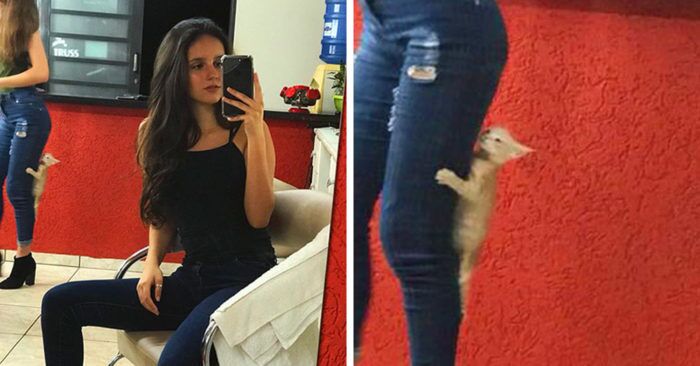 20 забавных фотографий, вся прелесть которых расположена на заднем плане