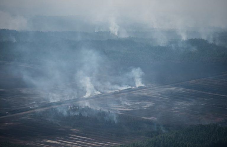 Пожароопасный период закончен: выгорело более 820 га леса