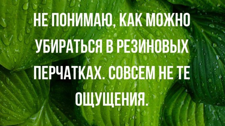 новые смешные анекдоты