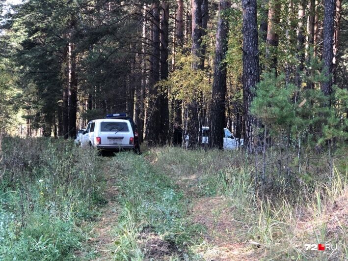 Няня похитила младенца под Тюменью: позже мертвого малыша нашли в лесу