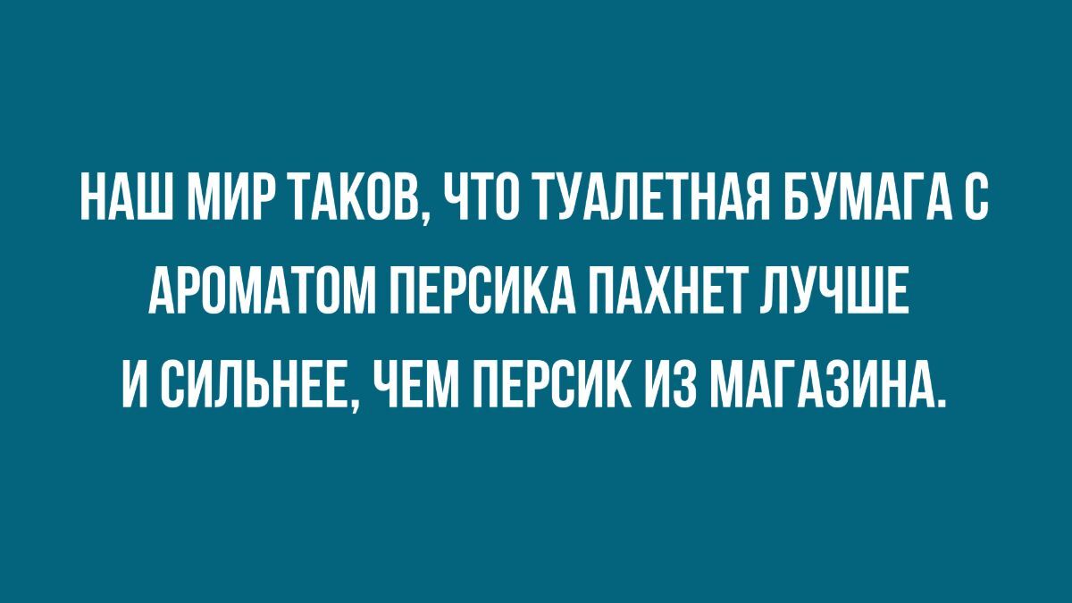 приколы из сети дня настроения