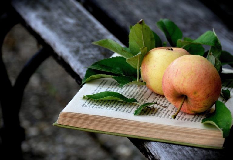 #читатьнеперечитать: три книжные новинки недели