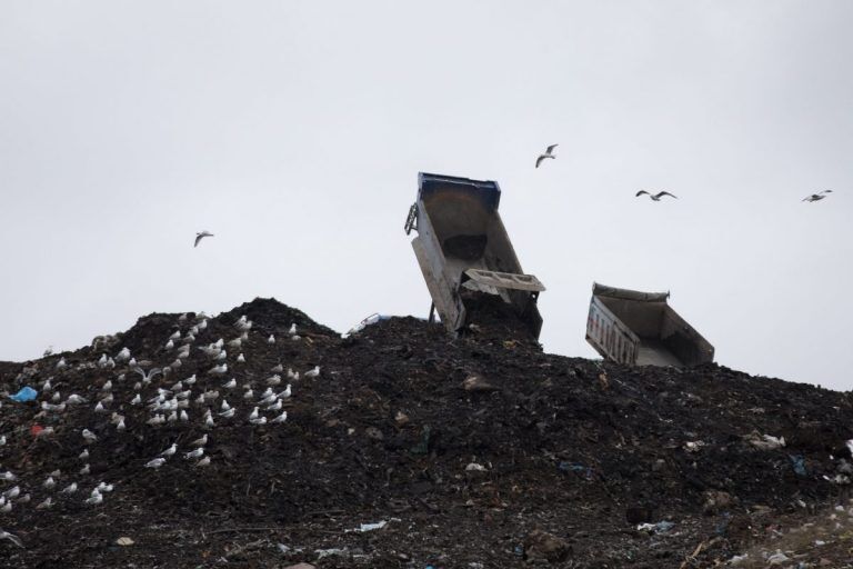 Глава Getliņi Eco: договор с Ригой заключался настолько открыто, что даже моя мама в Резекне знала