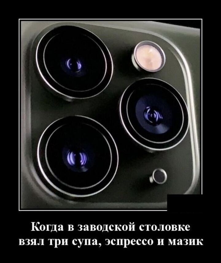 Лучшие новые демотиваторы