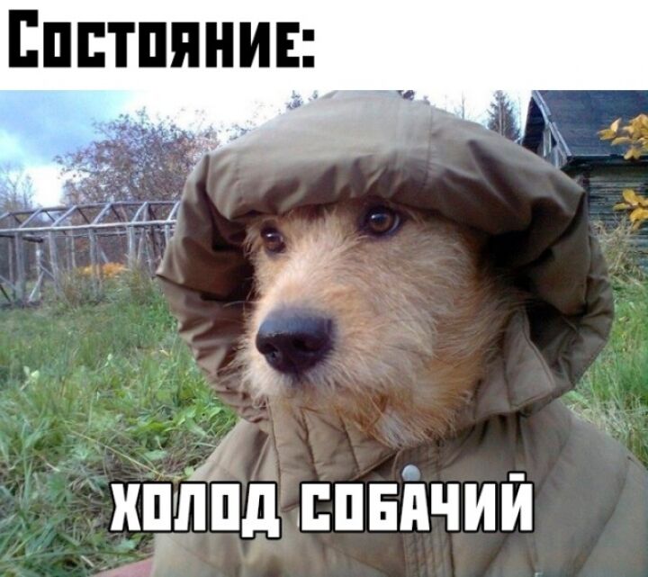 Вечерняя подборка фотоприколов и мемасиков