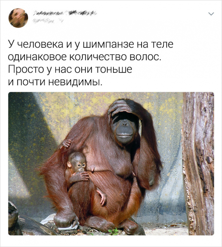 20+ фактов о человеческом теле, о которых не знает большинство людей
