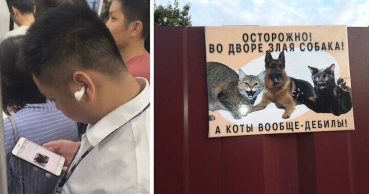 Креатив, находящийся за гранью человеческого понимания