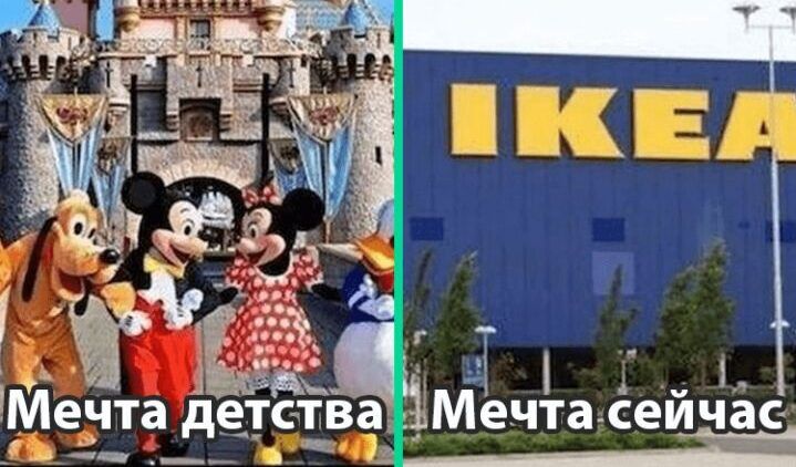 20 смешных и жизненных мемов для поднятия настроения